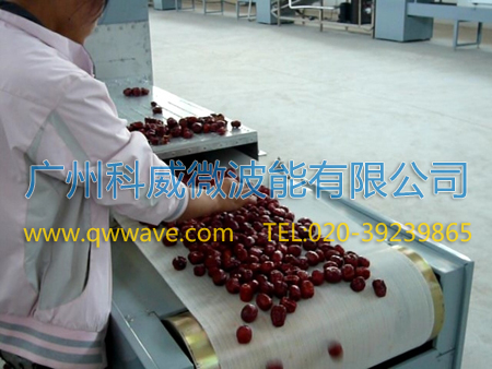 微波红枣干燥机