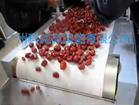 微波红枣干燥杀菌设备