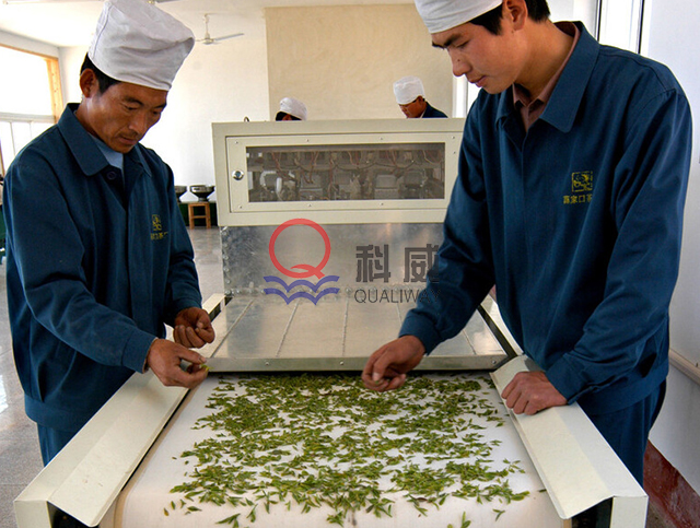 小型微波茶叶杀青机