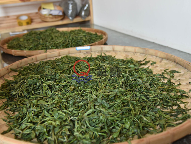 小型微波茶叶杀青机茶叶杀青效果